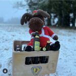 Screenshot_20250817_222237_Instagram-f40dd1d0575348e3734a9687586b9caa